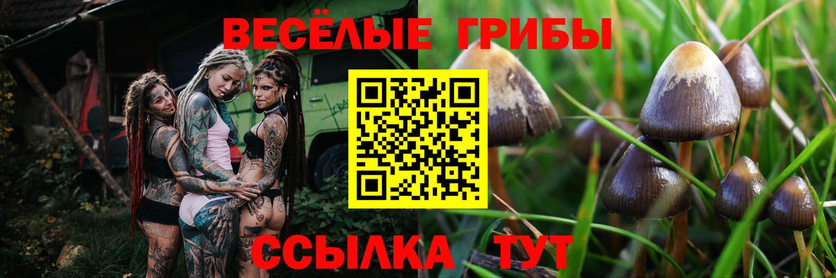 Галлюциногенные грибы прущие грибы Новодвинск