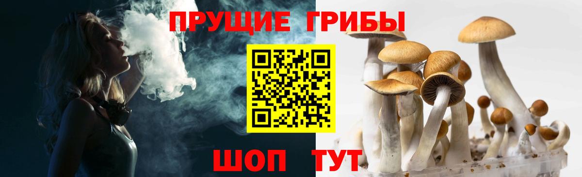 Новодвинск  Галлюциногенные грибы GOLDEN TEACHER  Вход с VPN 