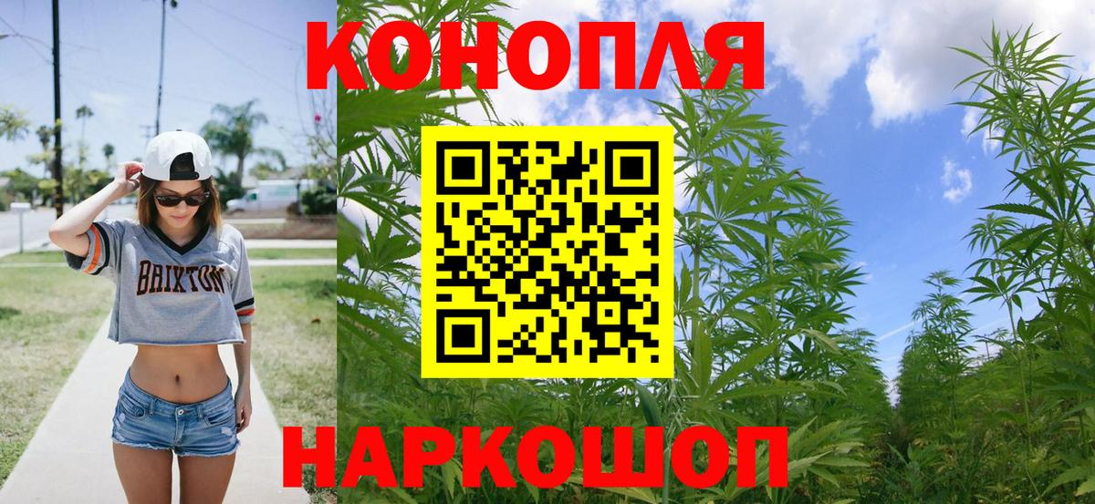 Шишки марихуана тримм  Конопля индика  Вход с VPN  Шишки марихуана Bruce Banner  Новодвинск 